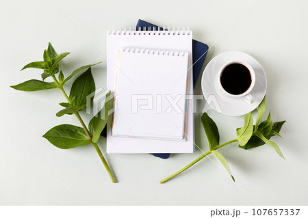 Composition with opened blank notepad, cup of black coffee, green leaves of zinnia on a gray background. Festive office desktop concept. Morning coffee cup. 107657337