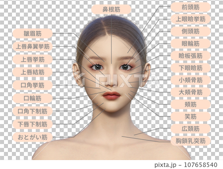 Illustration of a front close-up of a woman's face with the names of facial muscles 107658540