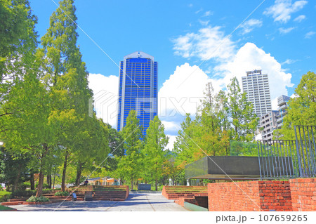 兵庫県神戸市、神戸市役所と復興のモニュメントの風景 兵庫県神戸市、神戸市役所と復興のモニュメントの風景 107659265