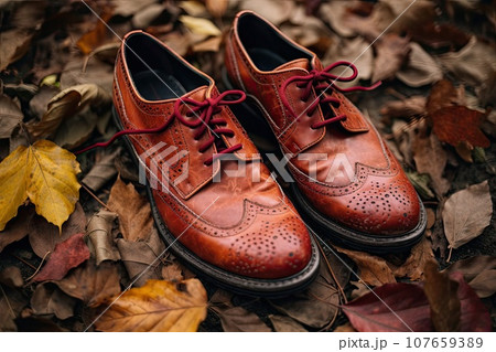 two pairs of red and brown broguen shoes on the ground with autumn leaves in the background stock photo two pairs of red and brown broguen shoes on the ground with autumn leaves in the background stock photo 107659389