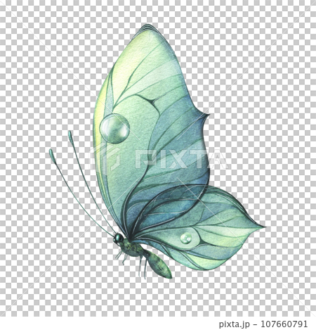 Turquoise butterfly with water drops and a pattern. Watercolor illustration. Isolated object. For decoration, design and compositions, prints, posters, postcards, stickers, souvenirs, tattoos. 107660791