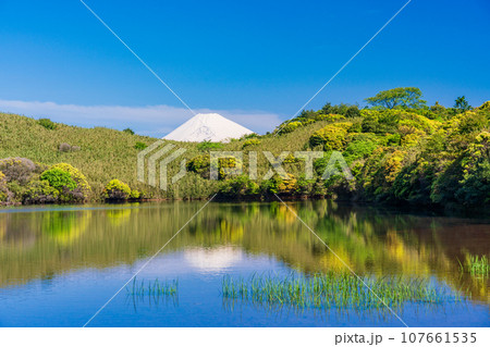 （静岡県）箱根玄岳・氷ヶ池から眺める冠雪富士 107661535
