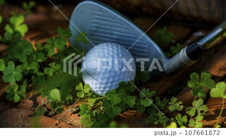 Golf balls and clubs in the obstacle zone of the course. Golf balls and clubs in the obstacle zone of the course. 107661872