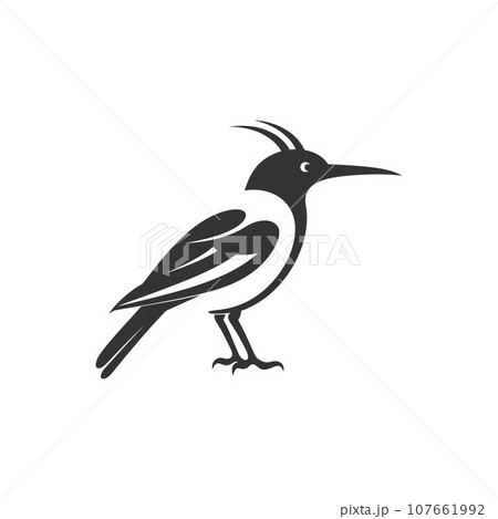 Hoopoe bird icon Hoopoe bird icon 107661992