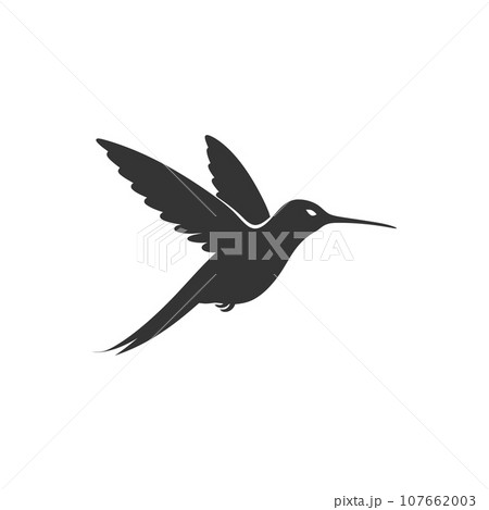 Hummingbird bird icon 107662003