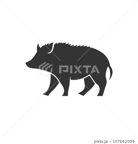 Peccary icon 107662099