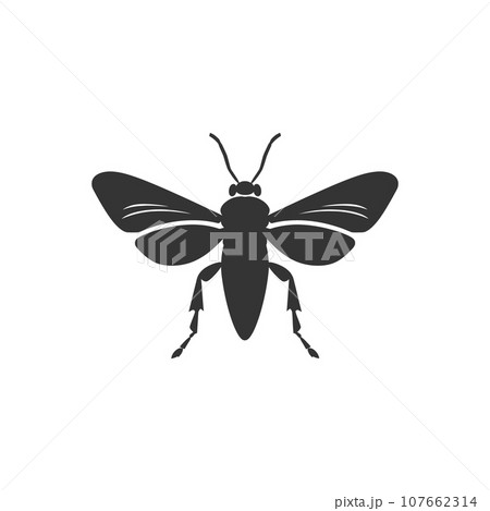 Grasshopper Insect icon 107662314