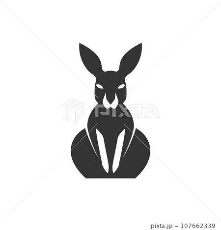Kangaroo icon Kangaroo icon 107662339