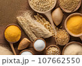 バイオ燃料の原材料 107662550