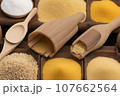 バイオ燃料の原材料 107662564