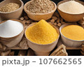バイオ燃料の原材料 107662565