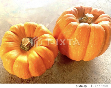 ハロウィンで人気のおもちゃカボチャ 107662606