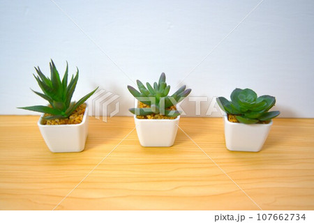 小さないくつかのグリーンインテリア 107662734
