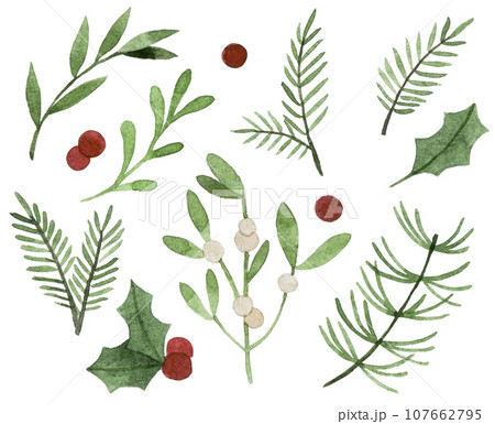 watercolor drawing. christmas plants. set of simple winter leaves and branches, holly, mistletoe, spruce. watercolor drawing. christmas plants. set of simple winter leaves and branches, holly, mistletoe, spruce. 107662795