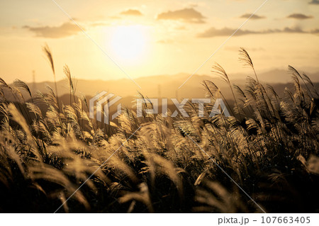 深山の夕景 107663405