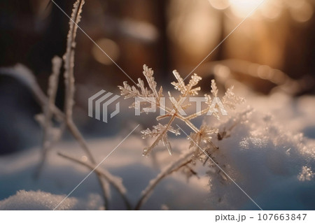 Christmas New Year snowflake, snowy forest background, family holiday. Christmas New Year snowflake, snowy forest background, family holiday. 107663847