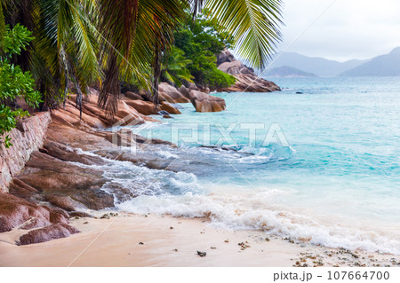 Anse Severe beach view with palm tree leaves. Coastal landscape Anse Severe beach view with palm tree leaves. Coastal landscape 107664700