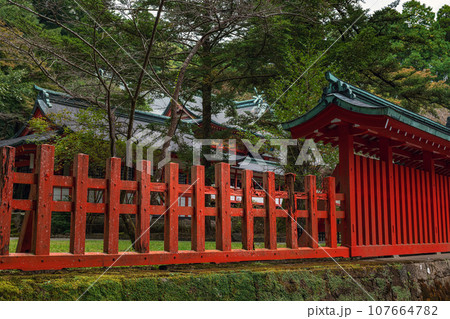 鹿児島 霧島神宮 境内の風景 107664782