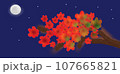 月と紅葉のイラスト 107665821