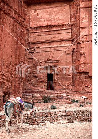 View of the Temples carved into the sandstone rock in the gorge. Petra, Jordan. View of the Temples carved into the sandstone rock in the gorge. Petra, Jordan. 107665981