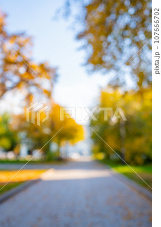 Blurred background of park in fall season. Bright autumn trees with falling yellow leaves in the park. Beautiful sunny autumn day. Autumn landscape in the city 107666702