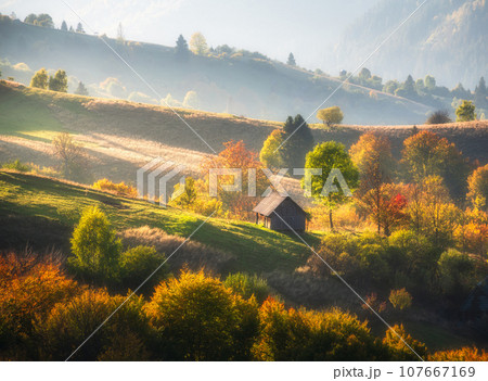 Carpathian mountain valley with house and trees in autumn 107667169