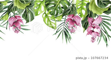 watercolor drawing. horizontal border with tropical leaves and flowers. banner with green palm leaves, monstera watercolor drawing. horizontal border with tropical leaves and flowers. banner with green palm leaves, monstera 107667234