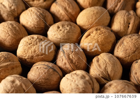 Walnuts in shell on the table. Healthy food 107667639