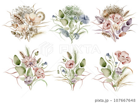 Wildflowers watercolor bouquet. Illustration set of floral bouquet of dried flowers on a white background drawn by hand. 107667648