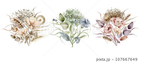 Wildflowers watercolor bouquet. Illustration set of floral bouquet of dried flowers on a white background drawn by hand. Wildflowers watercolor bouquet. Illustration set of floral bouquet of dried flowers on a white background drawn by hand. 107667649