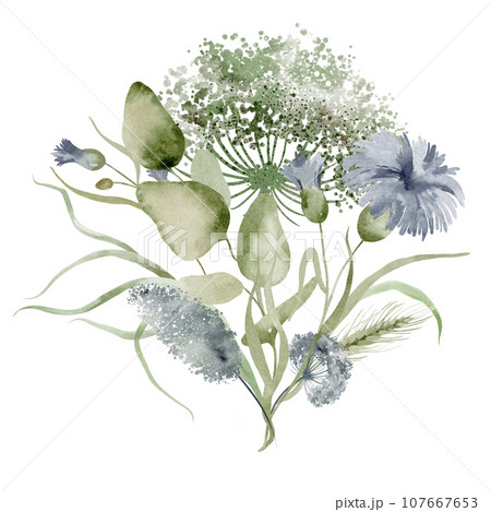Wildflowers watercolor bouquet. Illustration set of floral bouquet of dried flowers on a white background drawn by hand. 107667653