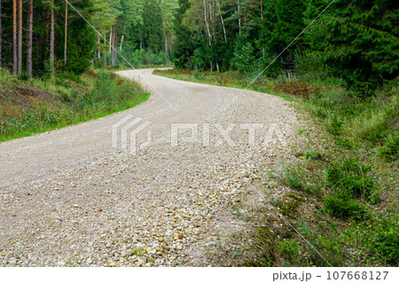 Winding gravel road through green mixed coniferous forest, Baltic wild nature 107668127