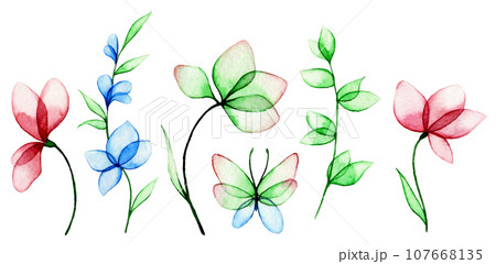 watercolor drawing, set of transparent flowers and leaves. abstract plants in blue and pink.	 107668135