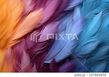 Brightl multi-colored feathers Brightl multi-colored feathers 107669056