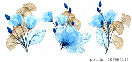 watercolor illustration. set of bouquets of transparent flowers. blue flowers and ginkgo leaves. delicate drawing, x-ray 107669113