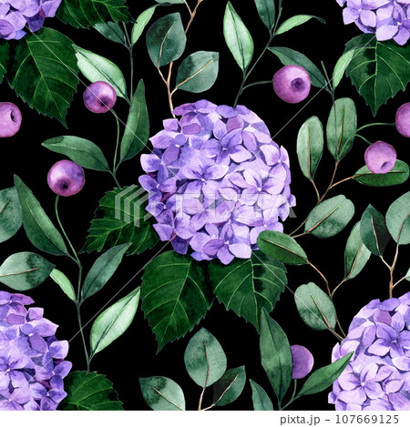 watercolor seamless pattern with purple hydrangea flowers and eucalyptus leaves on black background	 107669125