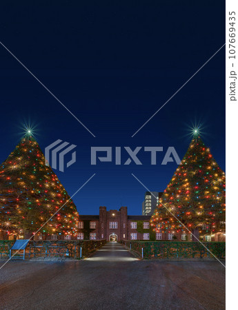 [東京・池袋] 巨大なクリスマスツリーを飾る立教大学の夜景。 107669435