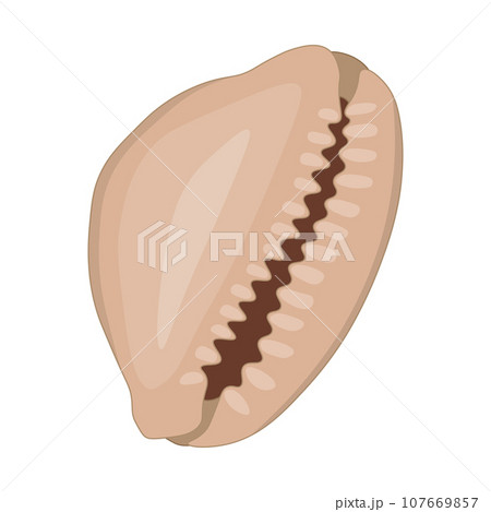 Vector cartoon illustration of colorful seashells on white background. 107669857