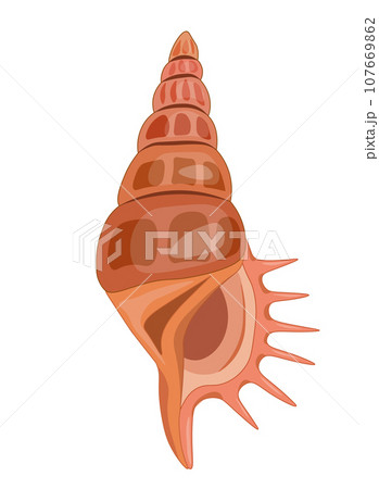 Vector cartoon illustration of colorful seashells on white background. 107669862