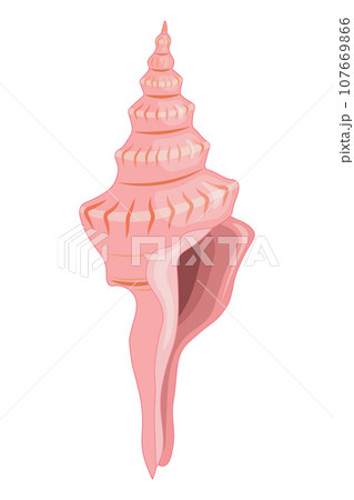 Vector cartoon illustration of colorful seashells on white background. 107669866