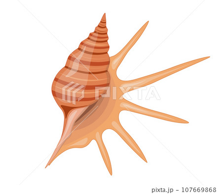 Vector cartoon illustration of colorful seashells on white background. Vector cartoon illustration of colorful seashells on white background. 107669868