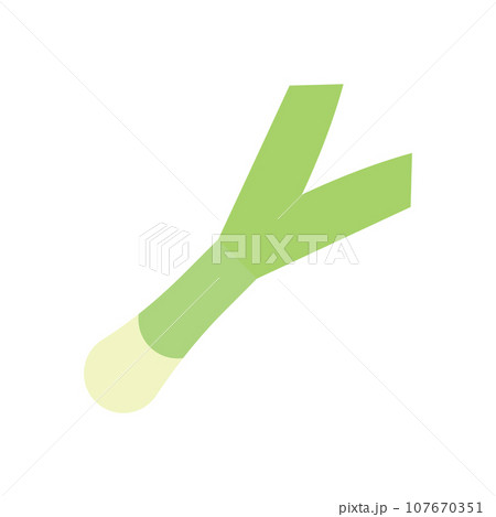 Leek Illustration 107670351
