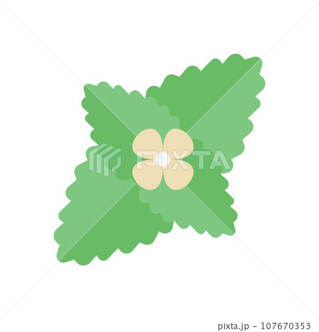 Melissa Illustration 107670353