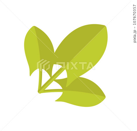 Sorrel Illustration 107670357