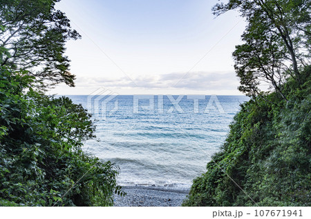 新潟　早朝の親不知海岸 107671941