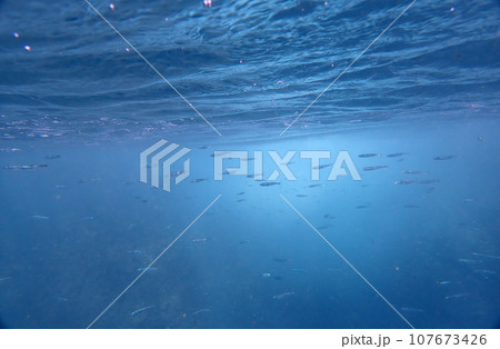 水面下 107673426