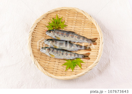 アマゴ　ざる盛り 107673643