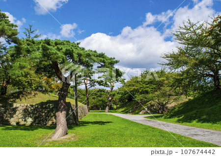 函館市　函館五稜郭　園内風景 107674442