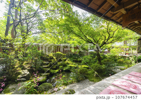 宝泉院　鶴亀庭園（京都市左京区大原） 107674457