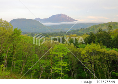 浅間山新緑 107675549